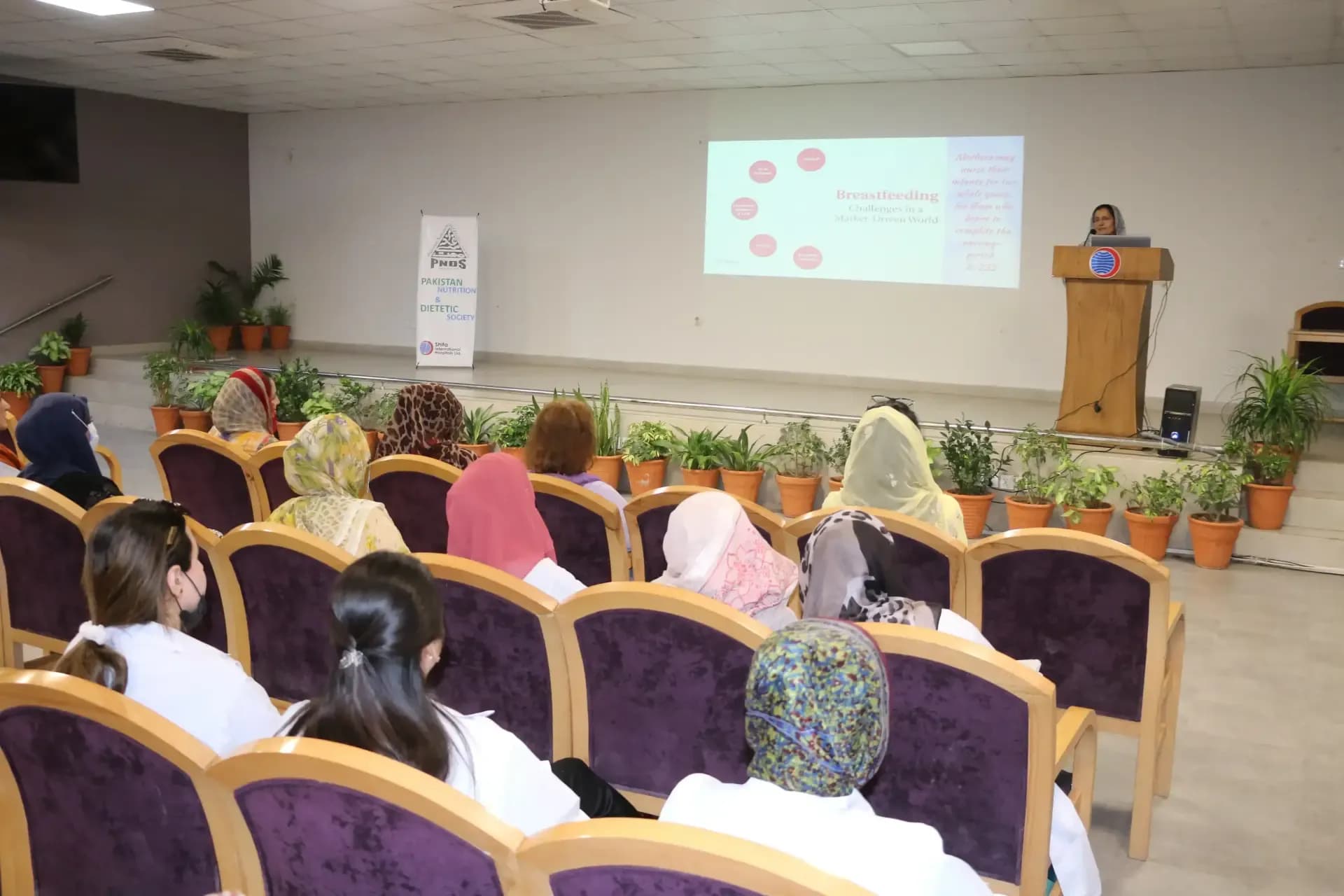 Challenges in Breastfeeding in a Market Divided