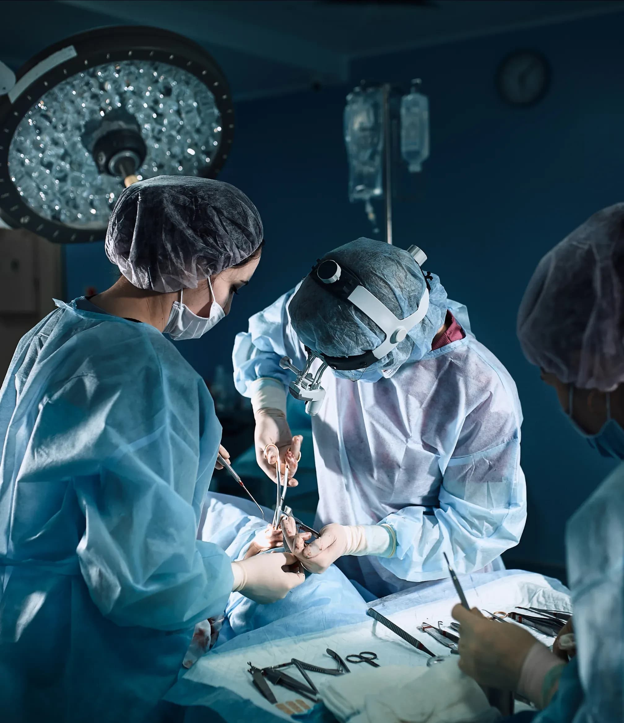 Shifa Organ Transplant Services